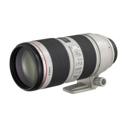 Canon EF 70-200mm f/2.8L IS II USM